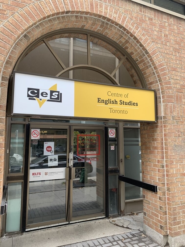 CES TORONTO - Toronto